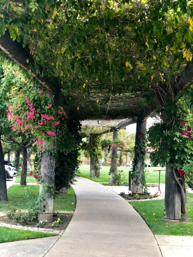 VINEYARD ROSE RESTAURANT 