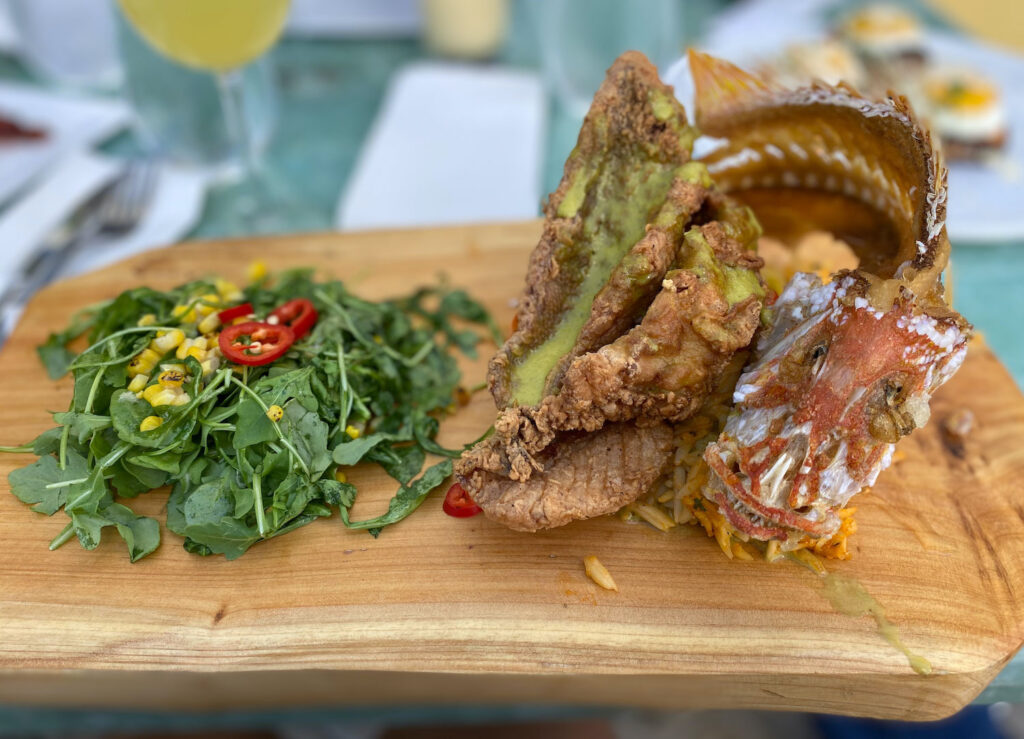 the rusty pelican red snapper elicit folio