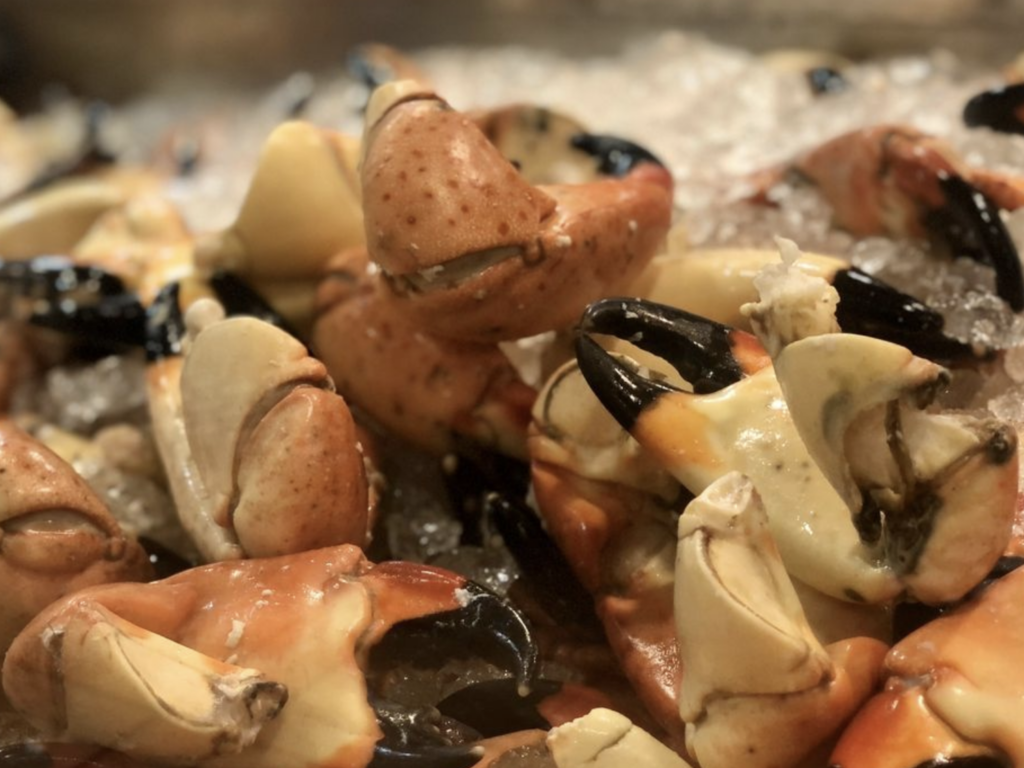 Joes Stone Crab elicit folio