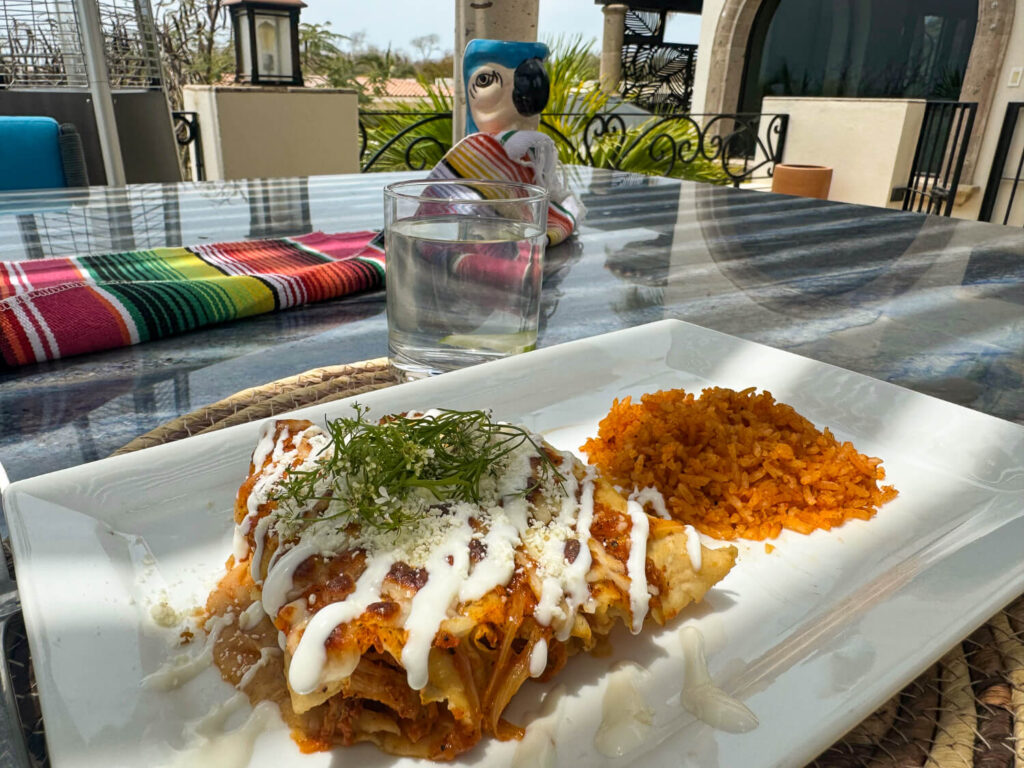 photo of enchiladas and rice on a plate outside