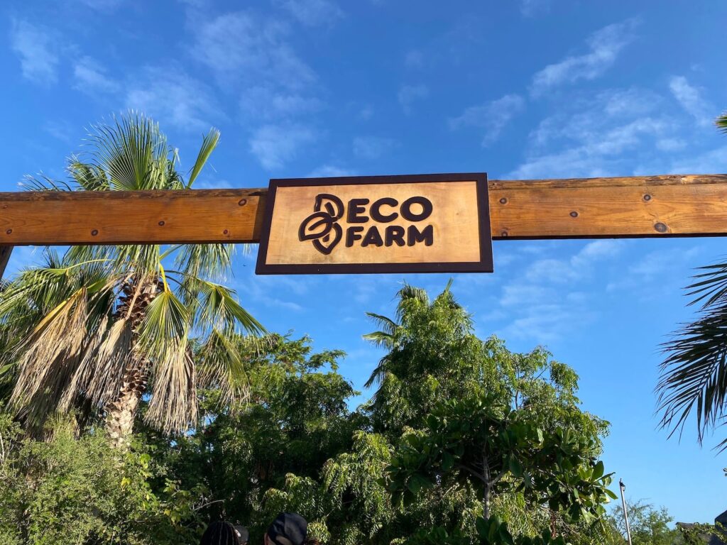 cabo adventures eco farm elicit folio