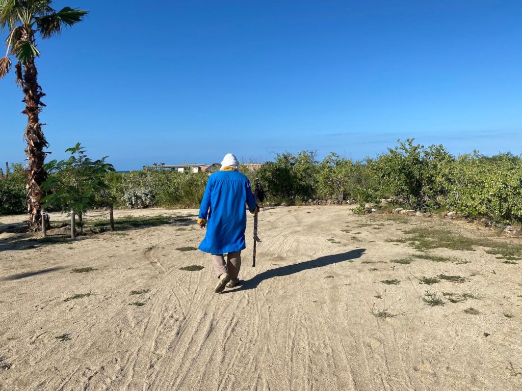 cabo adventures camel ride elicit folio