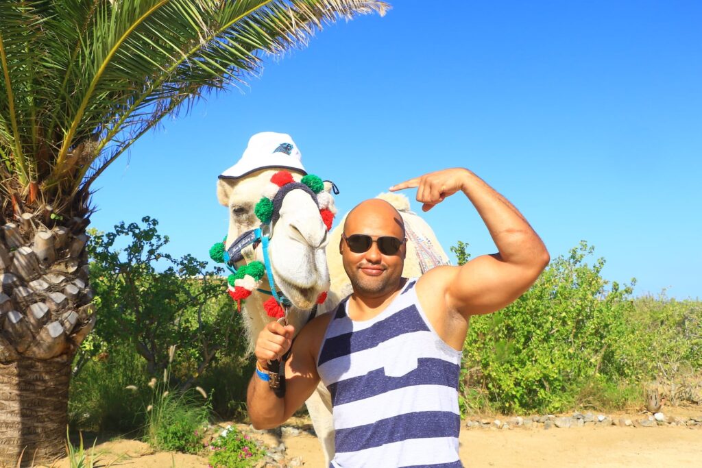 cabo adventures camel ride elicit folio