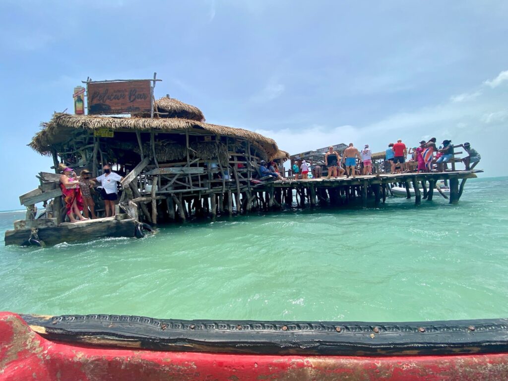 Pelican_Bar_Jamaica_elicit_Folio