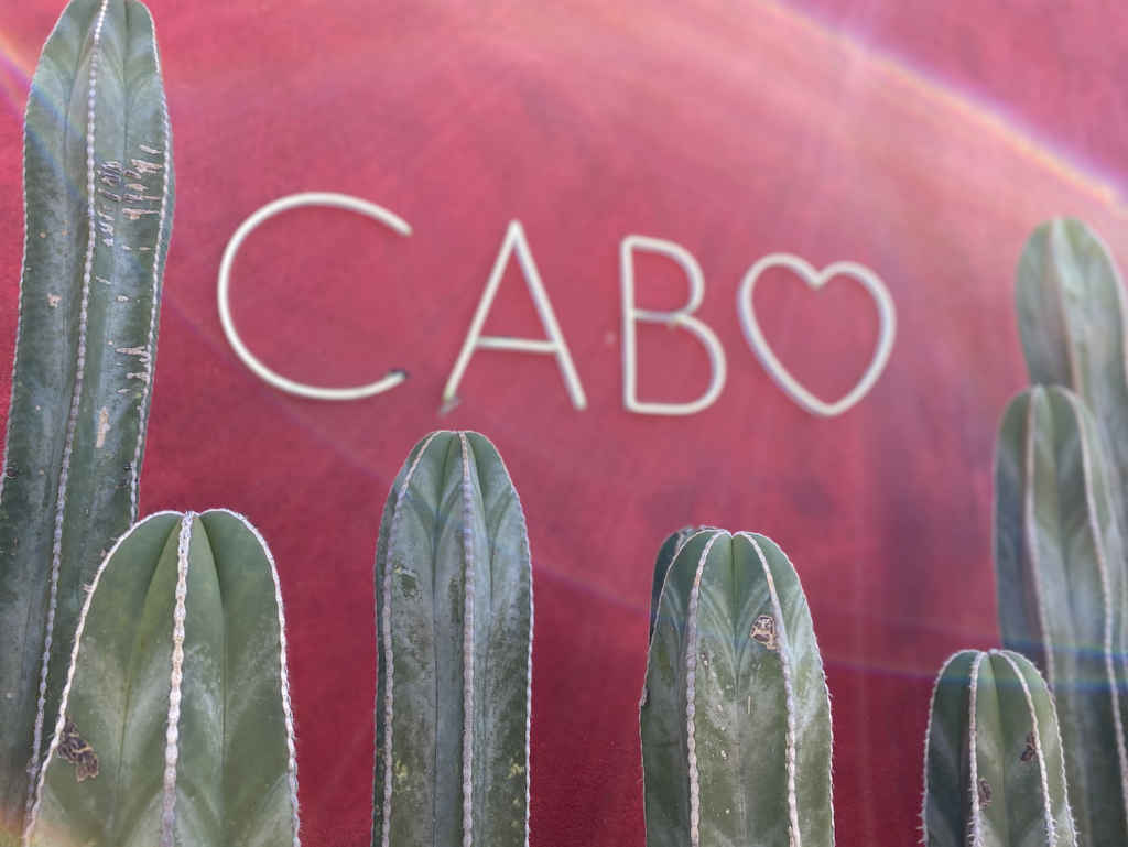 cabo travel guide elicit folio