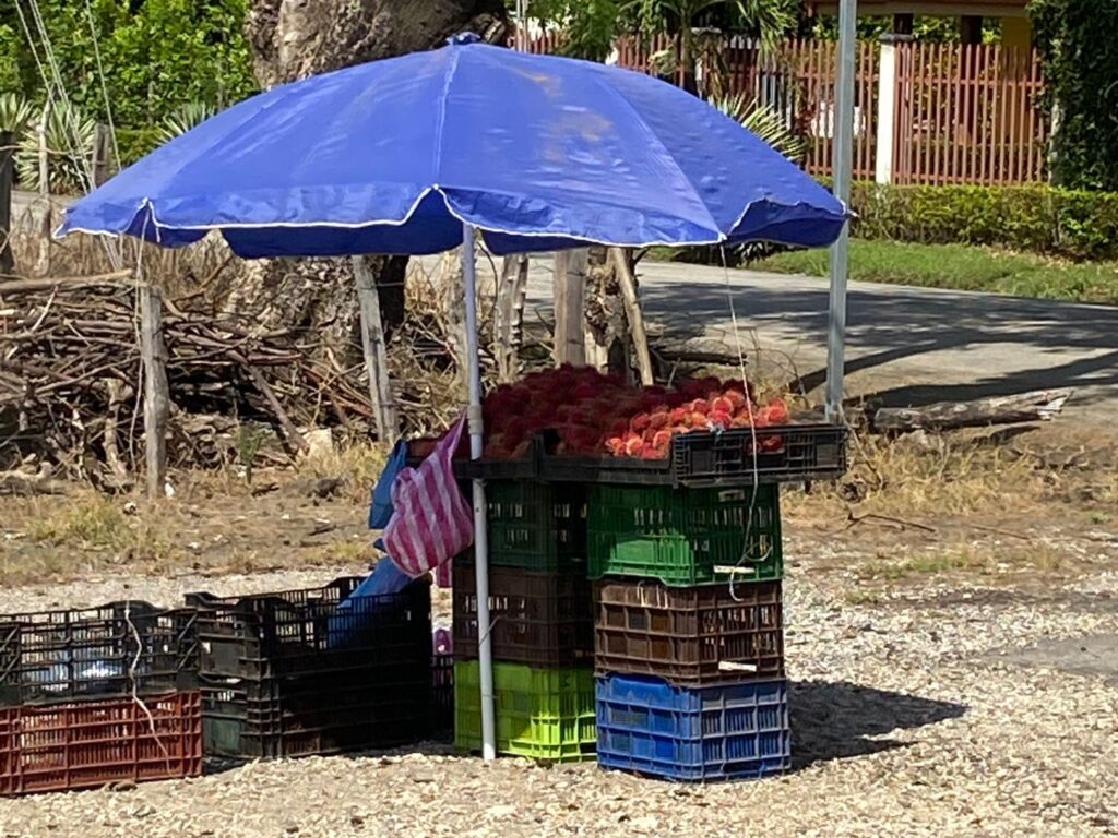 Tamarindo Costa Rica