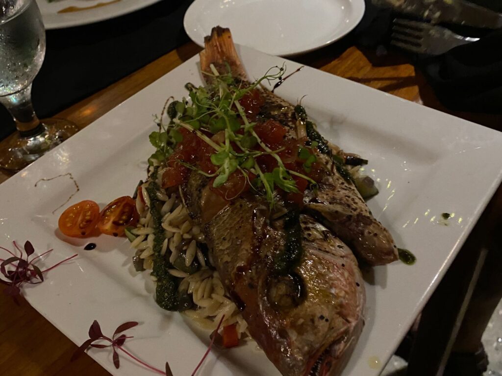 Tamarindo Costa Rica Dragonfly Bar and Grill