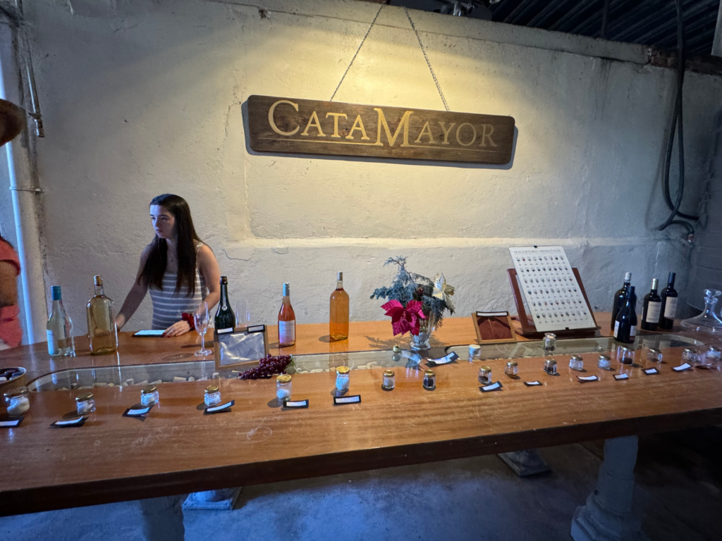 Wine tasting in Montevideo