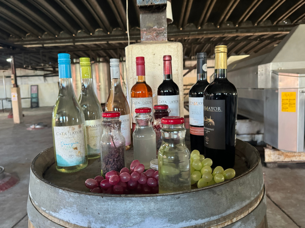 A photo Castillo Viejo Wine bottles