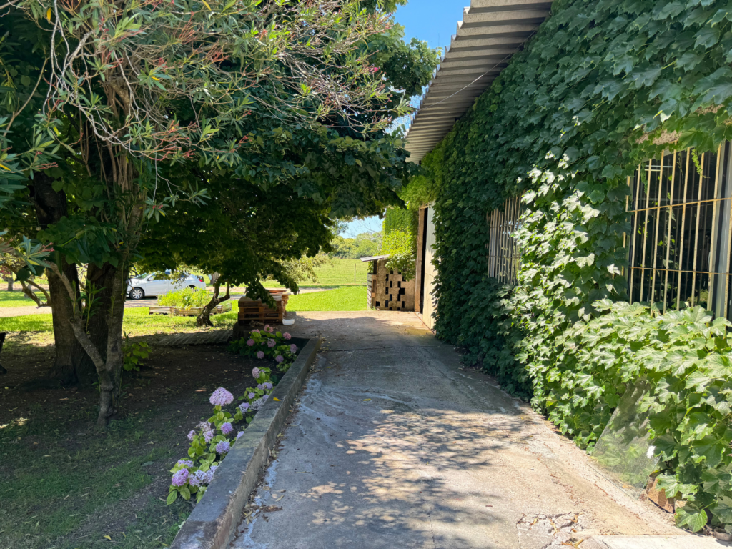 Castillo Viejo Winery exterior