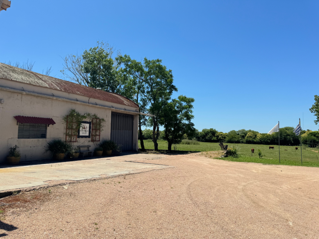 Castillo Viejo Winery