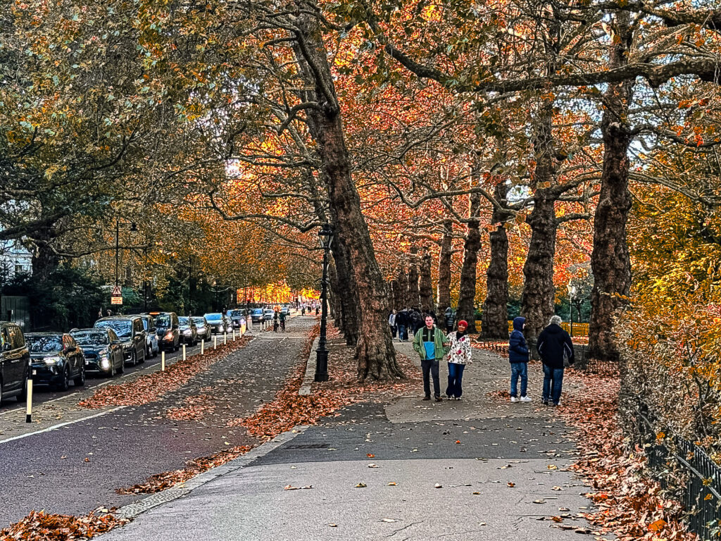 photo of fall time in London