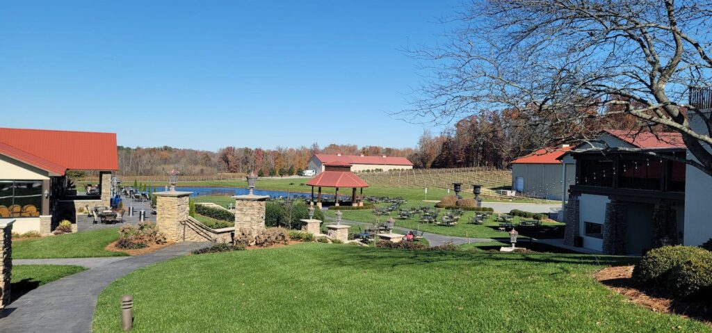 view of the vineyard grounds at childress